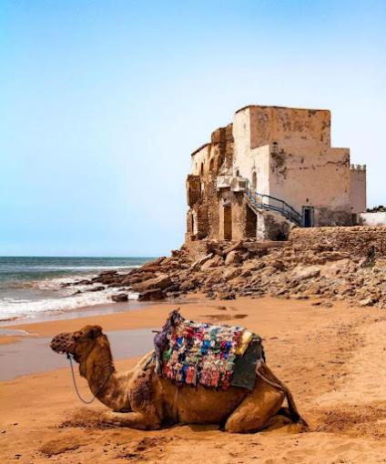 Sidi Kaouki Ayt Karoum Hotel ภายนอก รูปภาพ